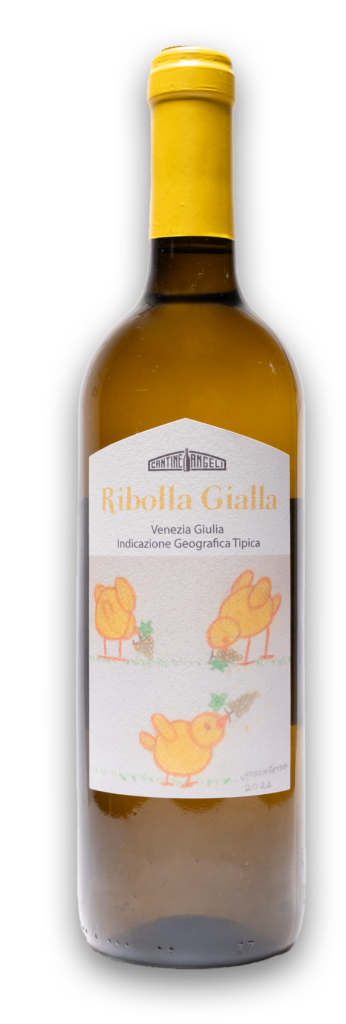 Ribolla Gialla, Vino bianco di Venezia Giulia IGT thumb